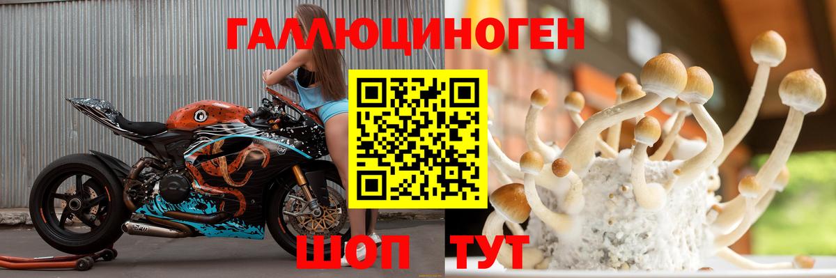 Псилоцибиновые грибы GOLDEN TEACHER  Галлюциногенные грибы Psilocybe  что такое   Вход с VPN  Азнакаево 